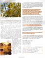 Acupuncture Herbal Magazine Health News of The Tole Acupuncture Herbal Treatment Cure