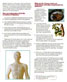 Acupuncture Herbal Magazine Health News of The Tole Acupuncture Herbal Treatment Cure